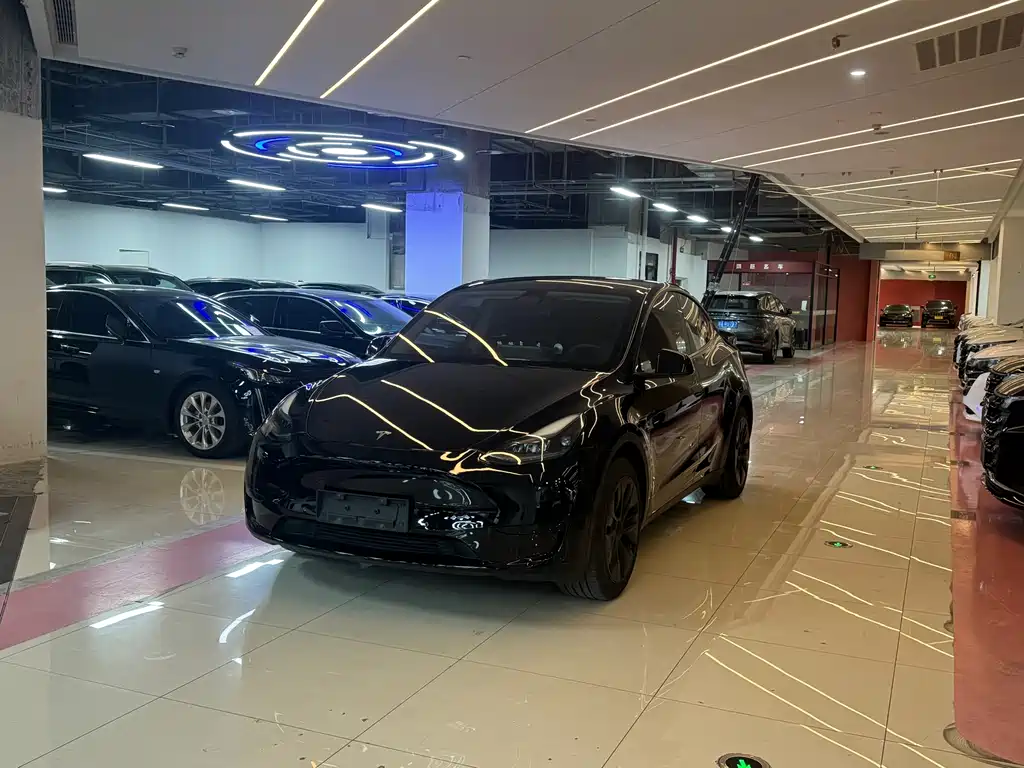 Tesla Model Y 2024 RWD Drive Dynamic Edition