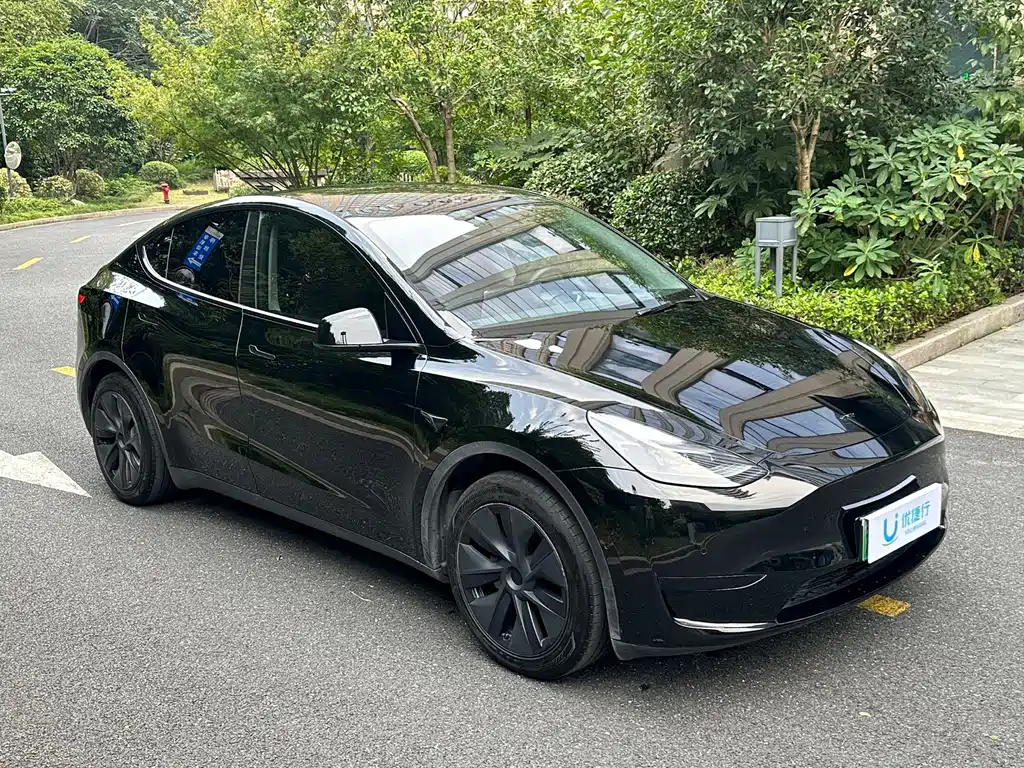 Tesla Model Y — миниатюра 3