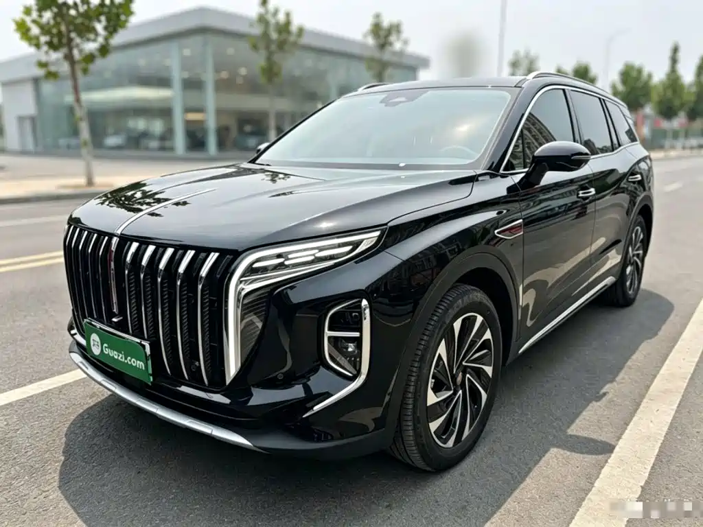 Hongqi Hongqi HS7 PHEV — миниатюра 2