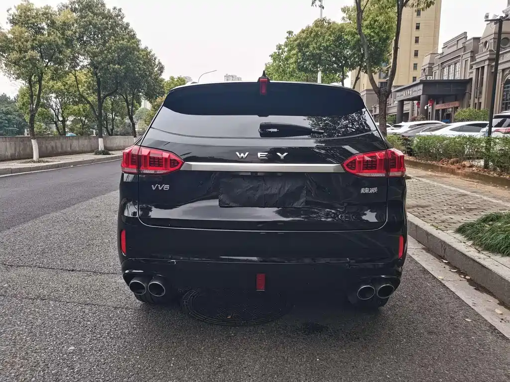 Wey Wey VV6 — миниатюра 11