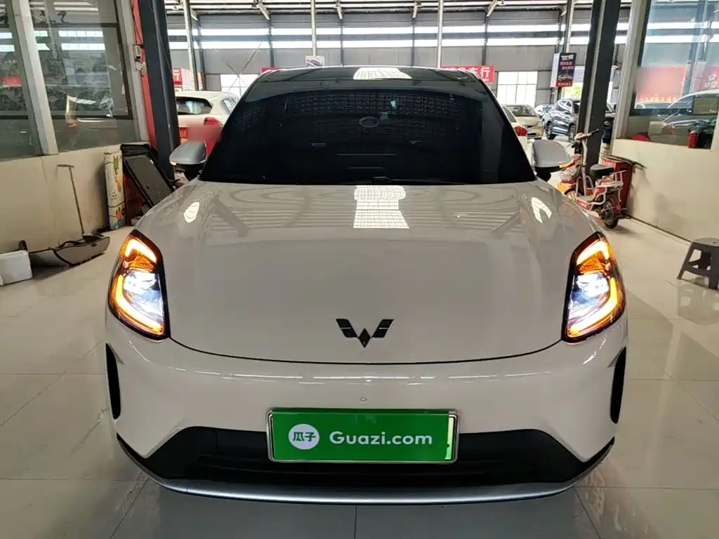 Wuling BinguoS S 2025 325km Premium