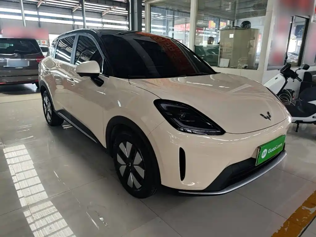 Wuling BinguoS S 2025 325km Premium