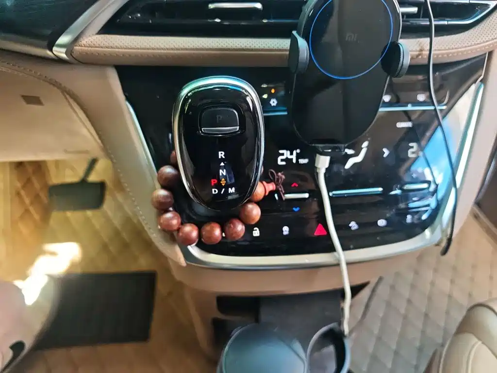 Buick GL8 — миниатюра 15