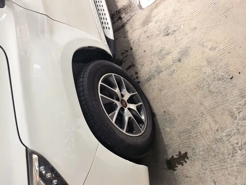 BYD Song — миниатюра 23