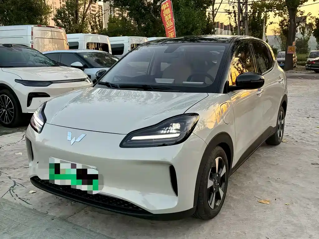 Wuling Binguo PLUS 2024 401km 5-seat Edition