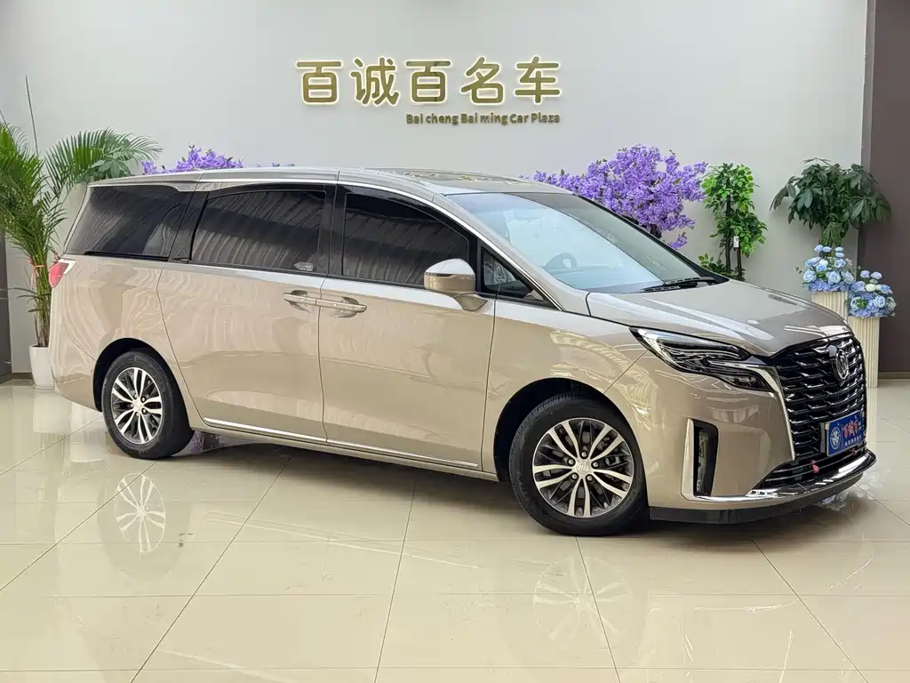Buick GL8 2023 ES Comfort