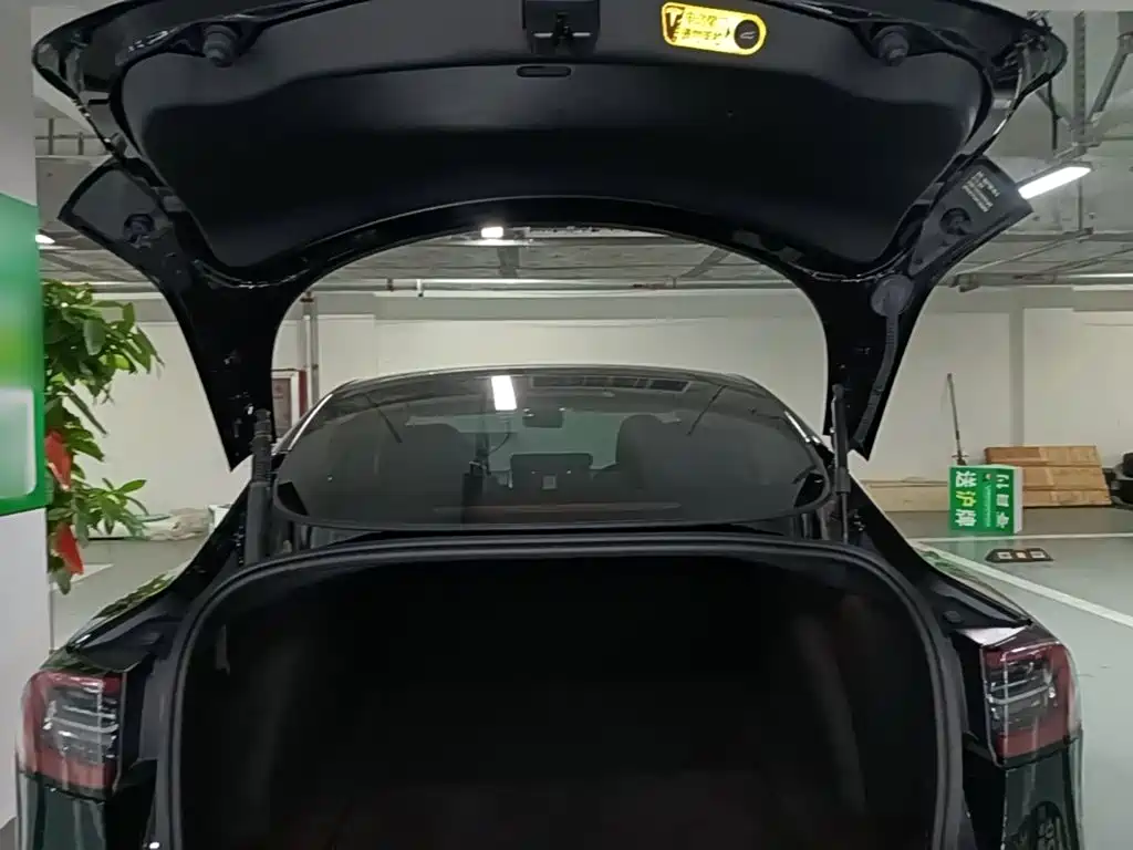 Tesla Model 3 — миниатюра 19