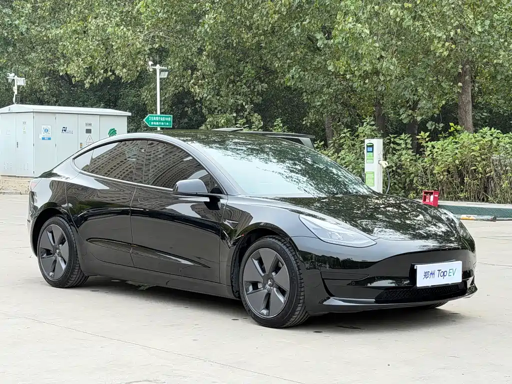 Tesla Model 3 — миниатюра 3