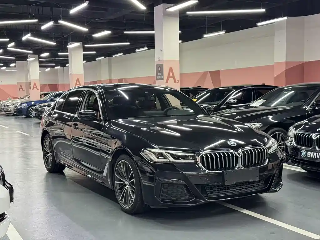 BMW 5 Series — миниатюра 3