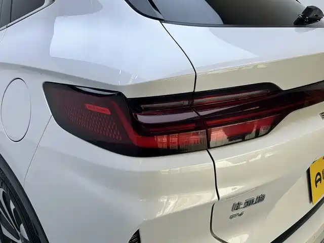 BYD SONGJIANG NEW ENERGY