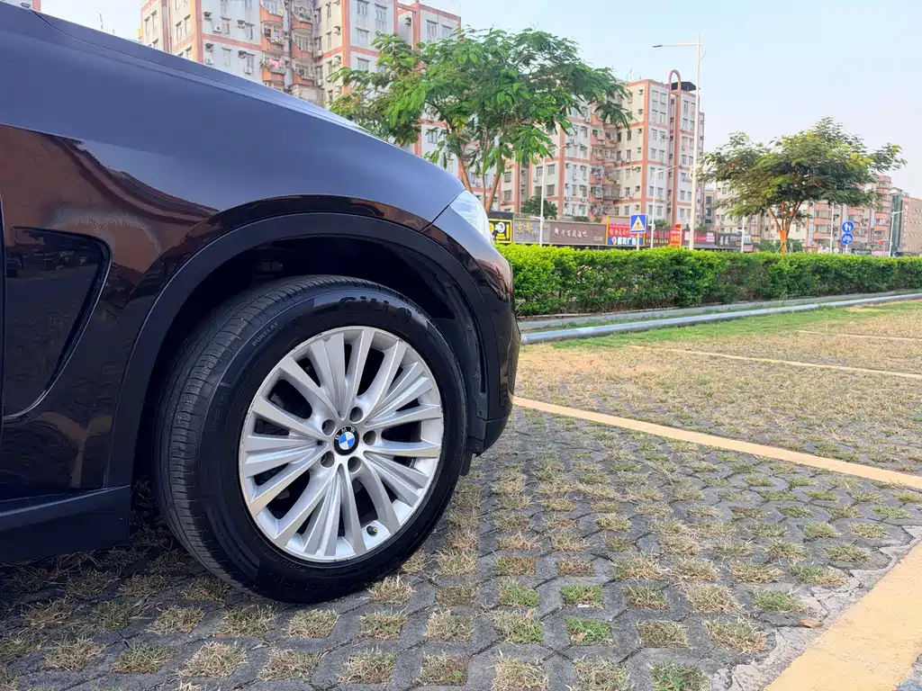 BMW X5 (Import) — миниатюра 8