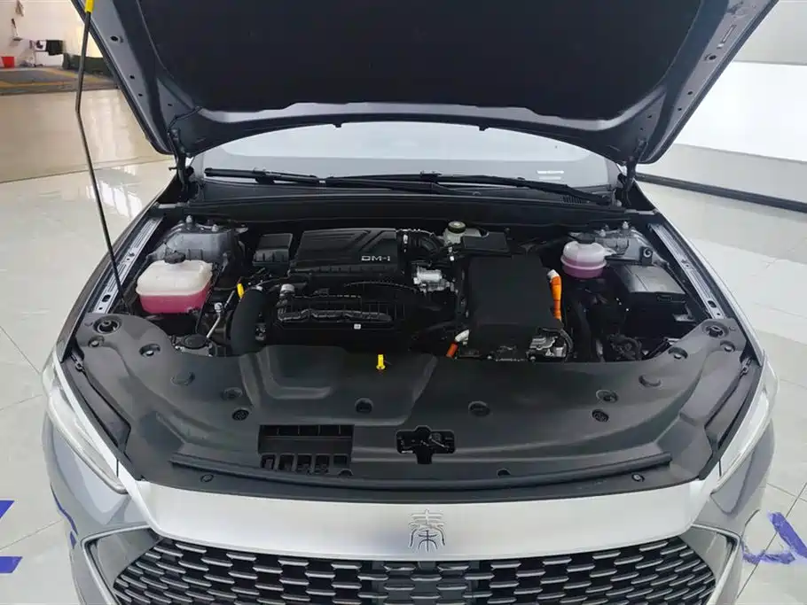 BYD Qin Plus PLUS 2024 DM-i 55KM Lead