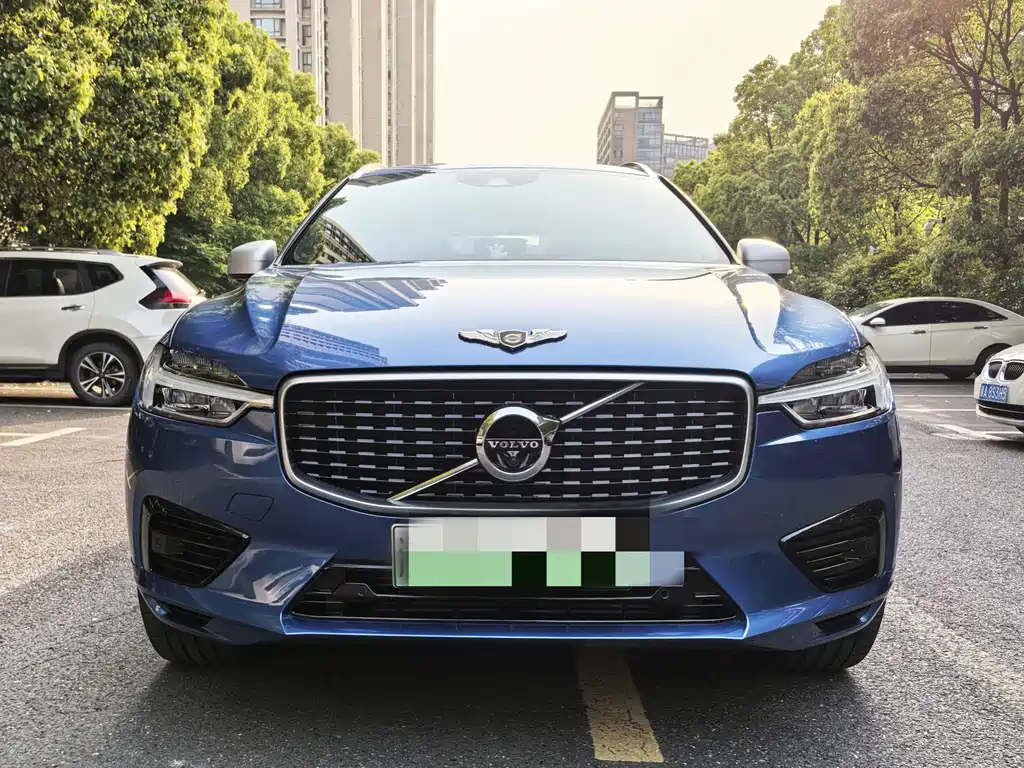 Volvo XC60 2019 T8 E Luxury VI
