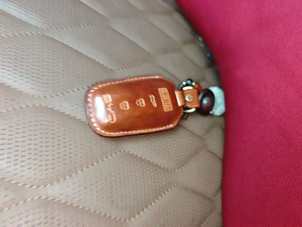 BYD Tang New Energy — миниатюра 12