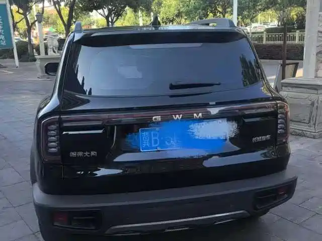 Haval Big Dog — миниатюра 8