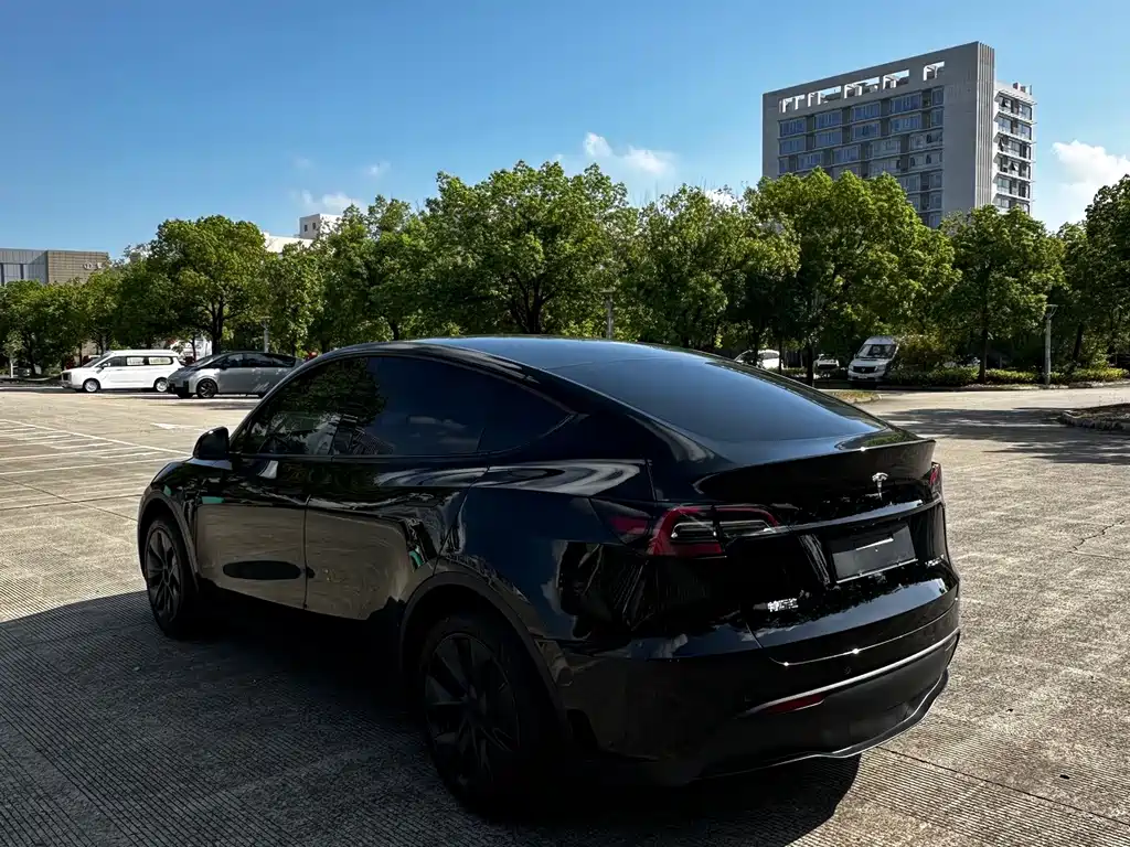 Tesla Model Y — миниатюра 4