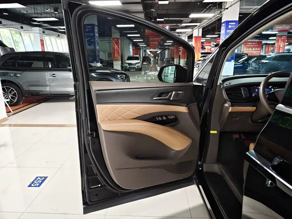 Denza Denza D9 — миниатюра 6