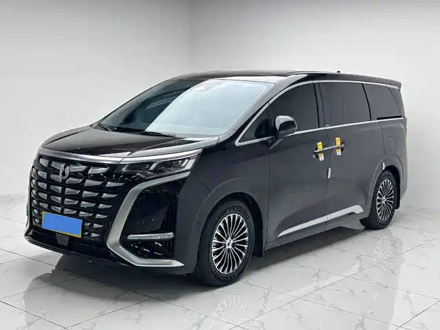 2023 Denza D9