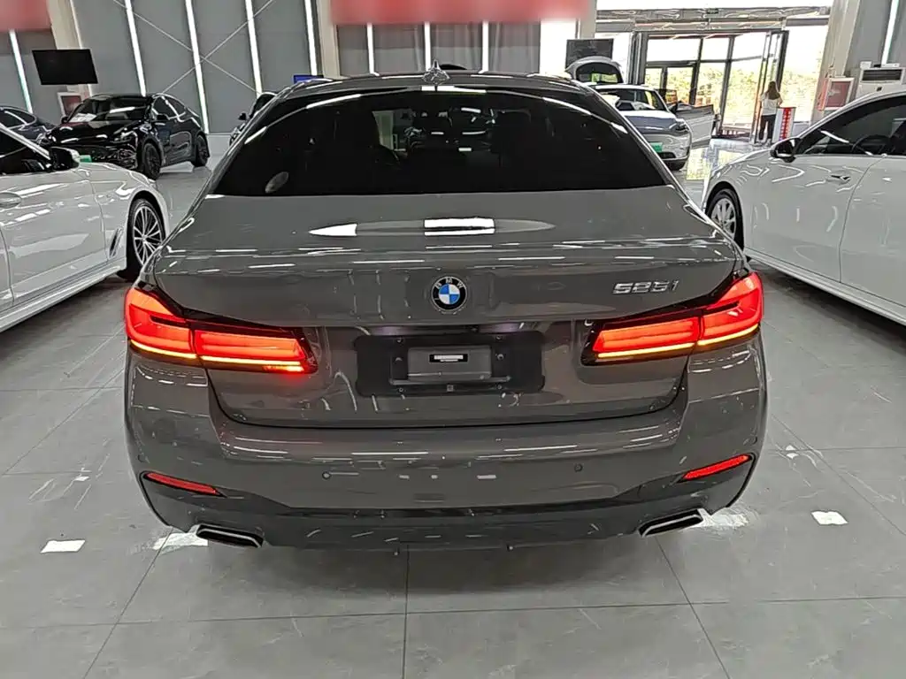 BMW 5 Series (Import) — миниатюра 6