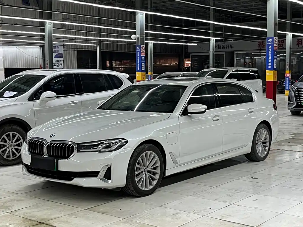 BMW 5 Series New Energy 2021