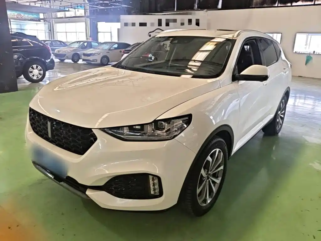 Wey Wey VV6