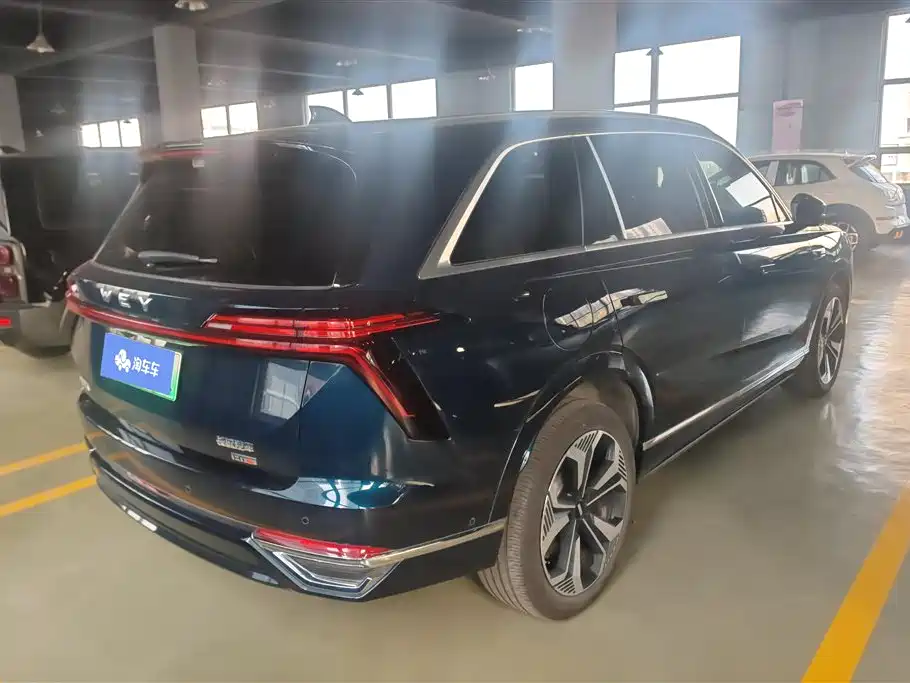 WEI PAI WEI BRAND BLUE MOUNTAIN