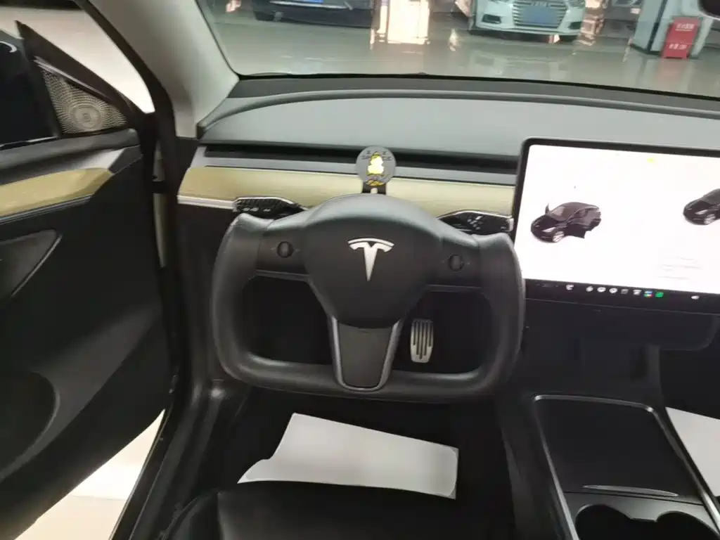 Tesla Model Y — миниатюра 11