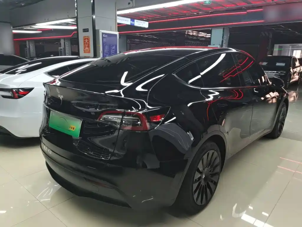 Tesla Model Y — миниатюра 7