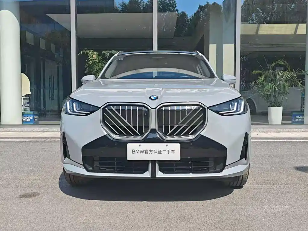 BMW X3 — миниатюра 3