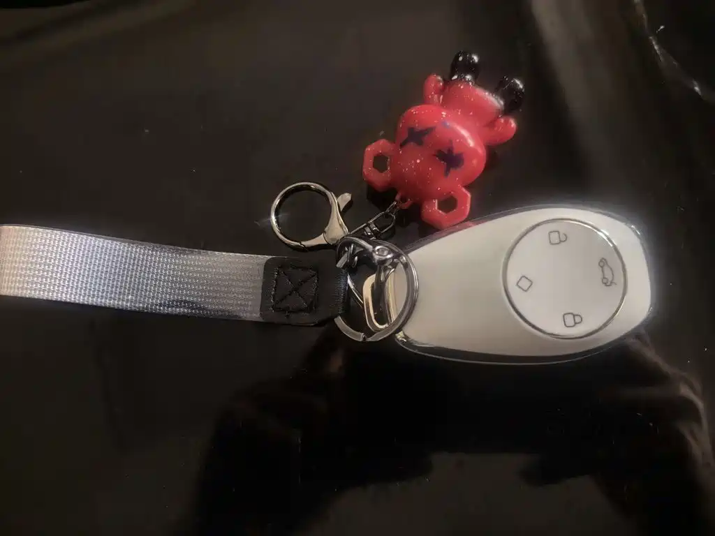 Leapmotor T03 2024 310