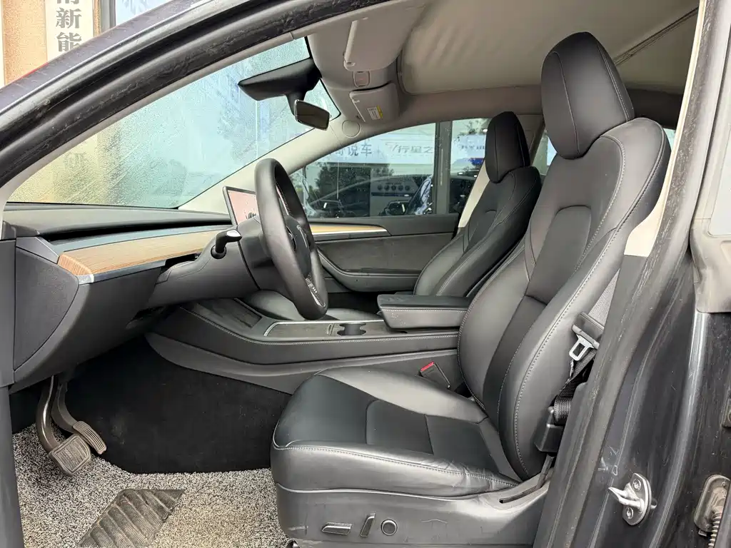Tesla Model Y — миниатюра 7