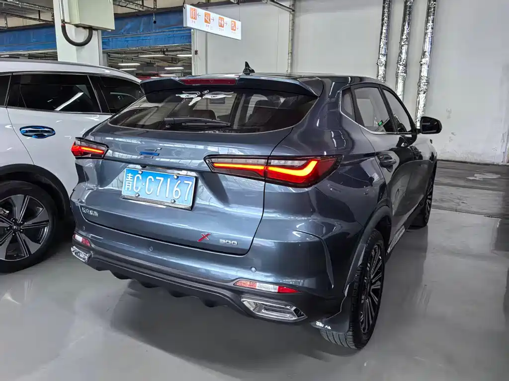Oshan X5 Sport Edition 1.5T DCT Hurricane Wind Sound Speed, фото 17