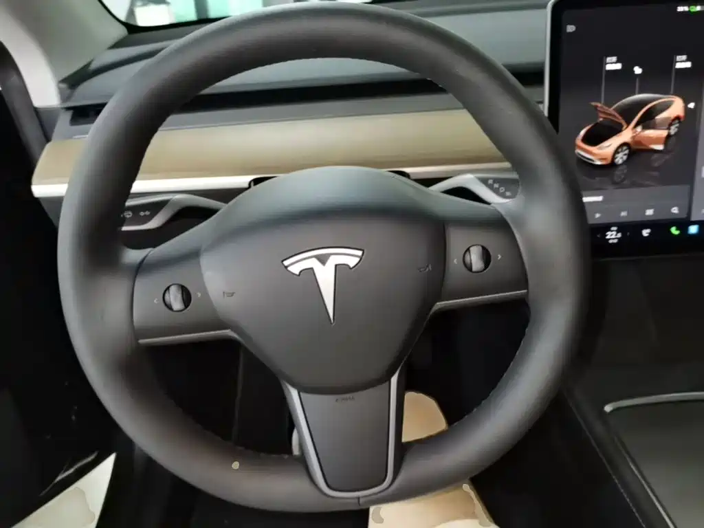 Tesla Model Y — миниатюра 11