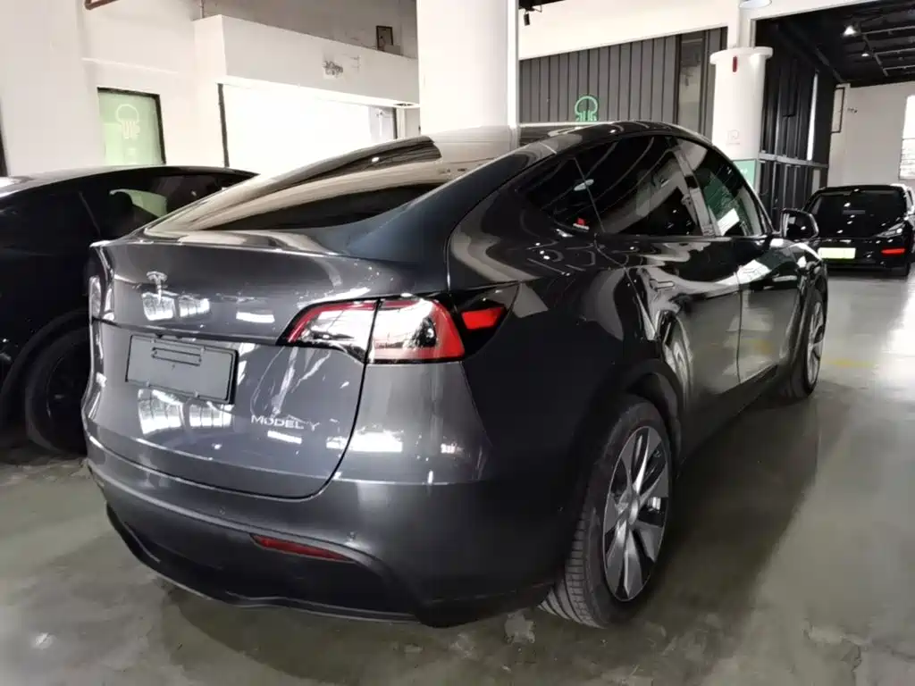 Tesla Model Y — миниатюра 7