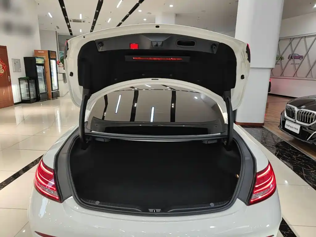 Mercedes-Benz C-Class (Import) — миниатюра 19