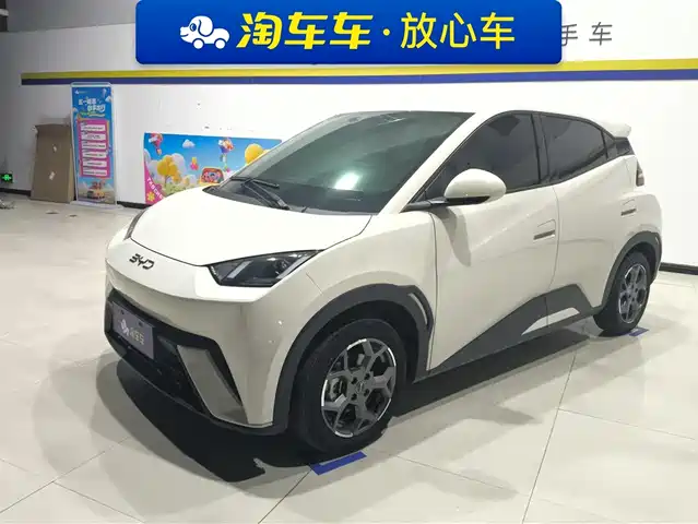2024 BYD Seagull