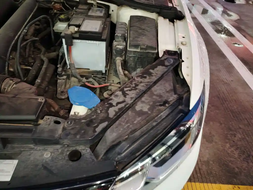 Volkswagen Lamando — миниатюра 22
