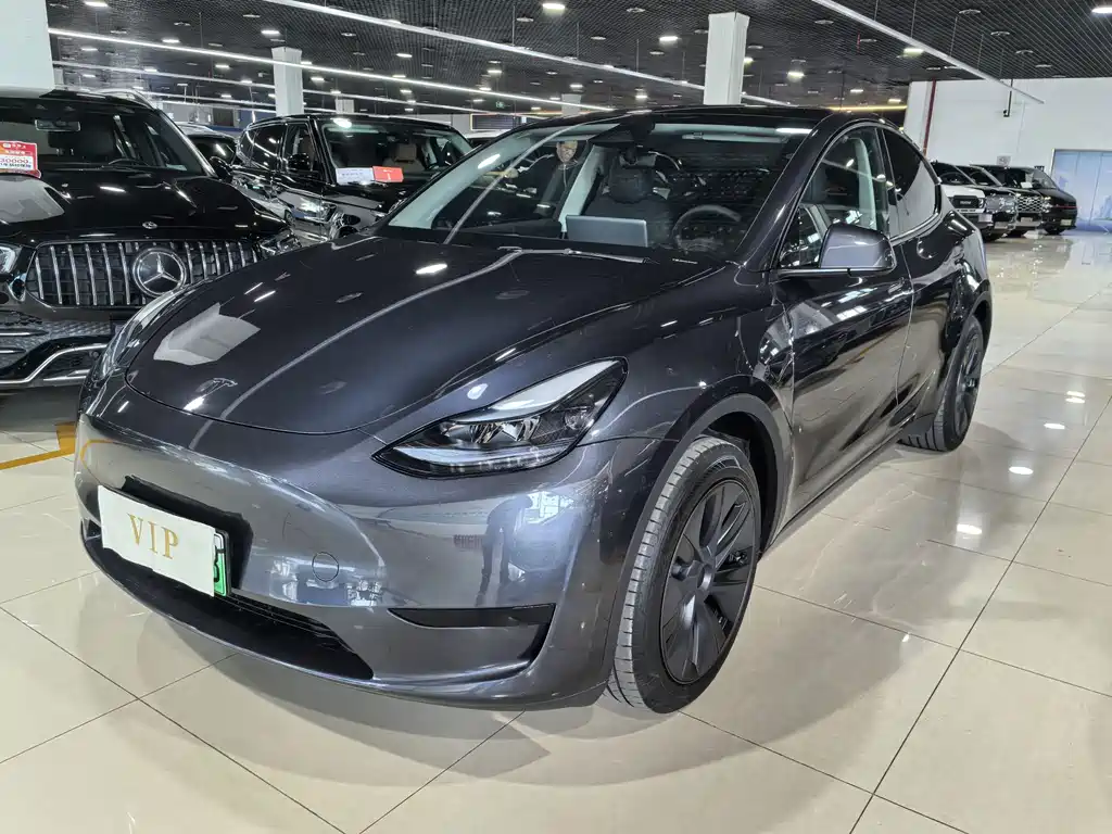 Tesla Model Y — миниатюра 3