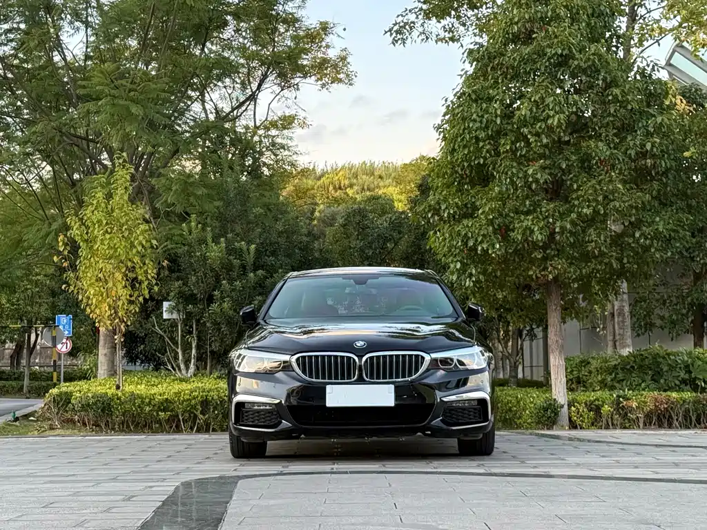 BMW 5 Series — миниатюра 2