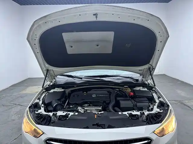 Buick Regal — миниатюра 11