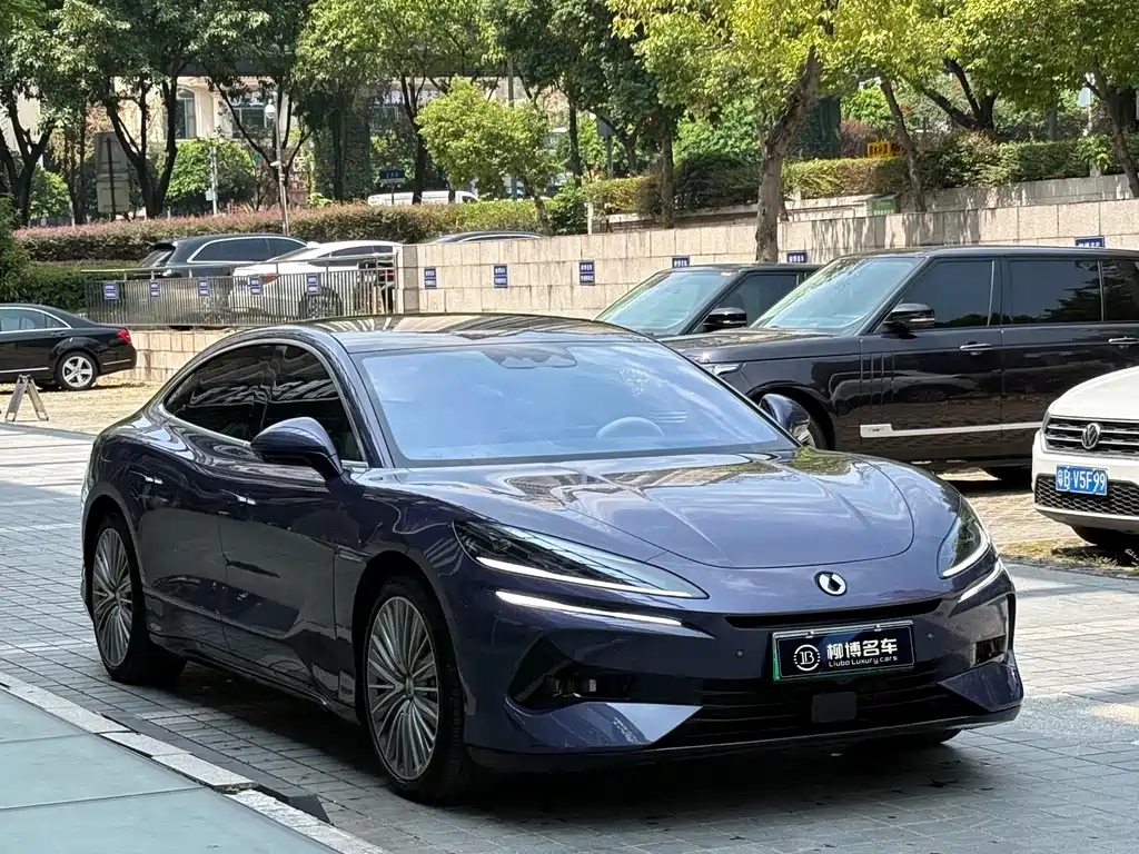 Denza Denza Z9 — миниатюра 3