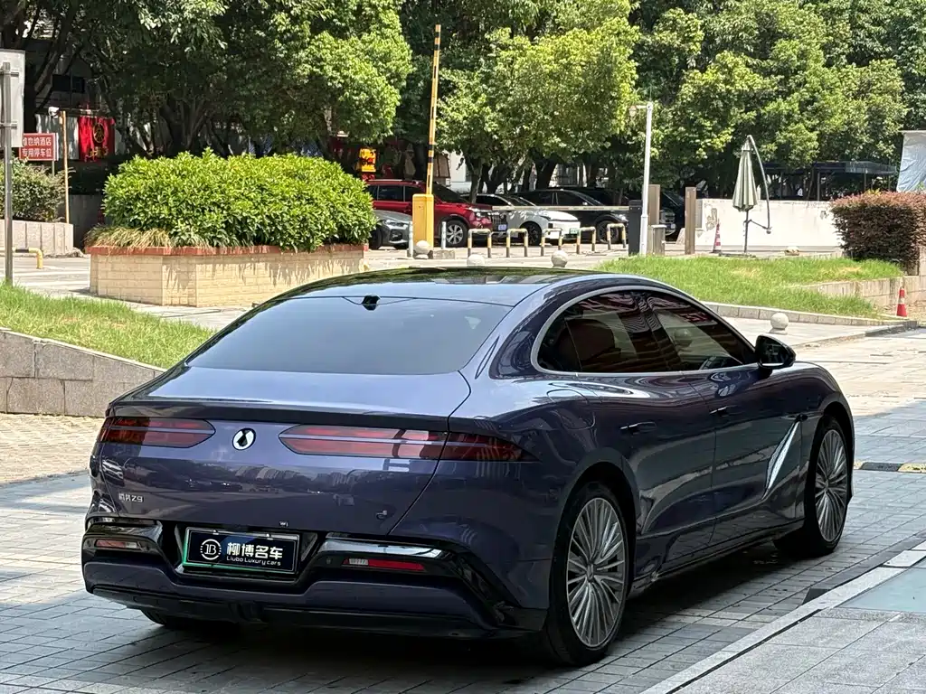 Denza Denza Z9 — миниатюра 6