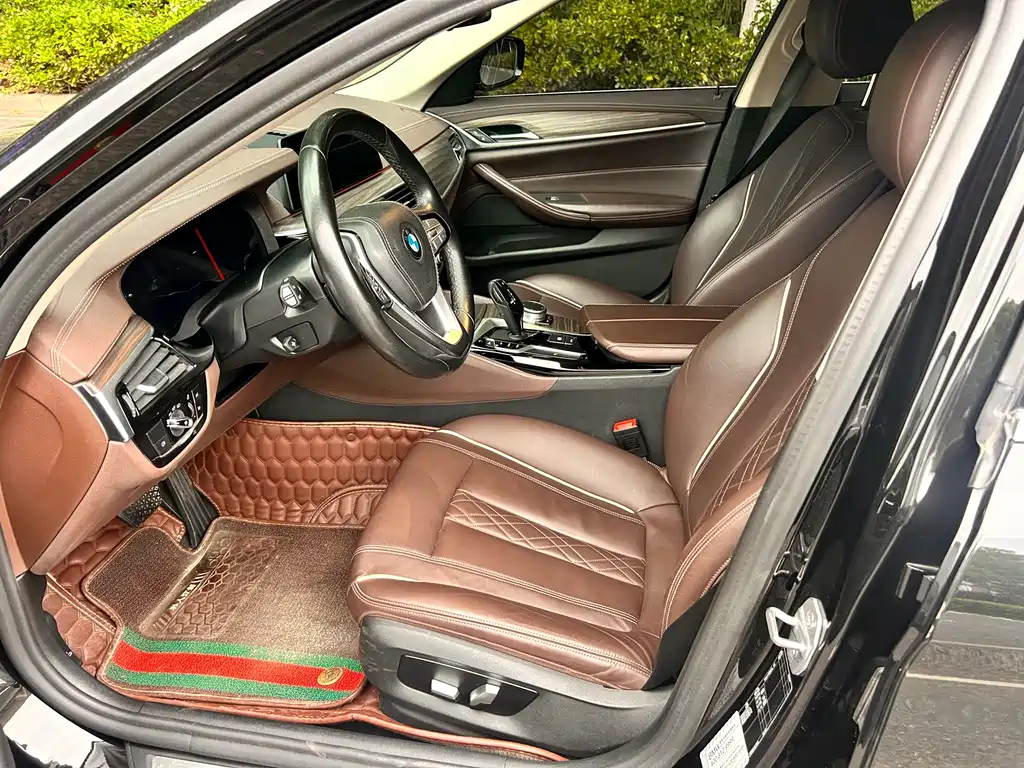 BMW 5 Series 5 2020 530Li Lead Luxury