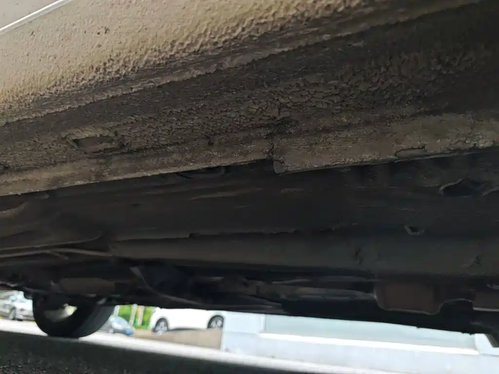 Volkswagen Gran Lavida — миниатюра 2