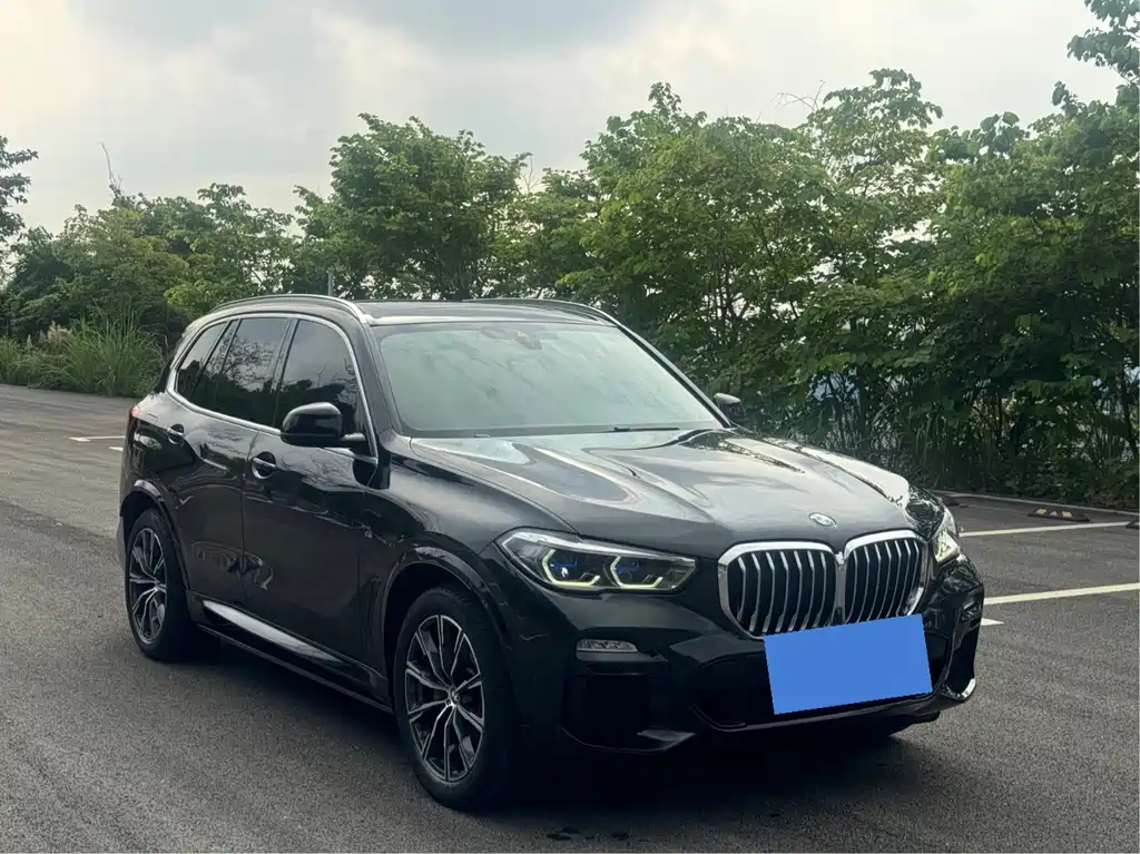 BMW X5 (Import) — миниатюра 3