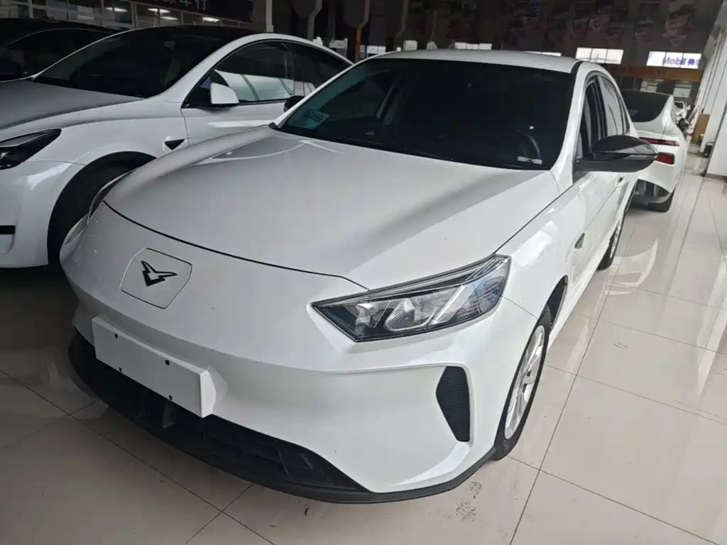 Cowin 轩度EV — миниатюра 2