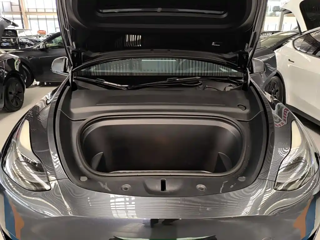 Tesla Model Y — миниатюра 20
