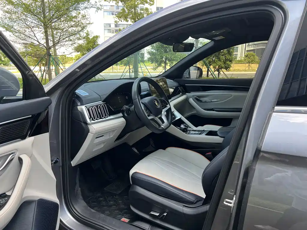 BYD PLUS New Energy — миниатюра 9
