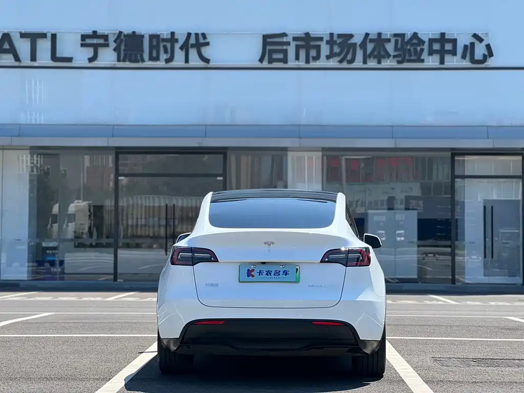 Tesla Model Y — миниатюра 4