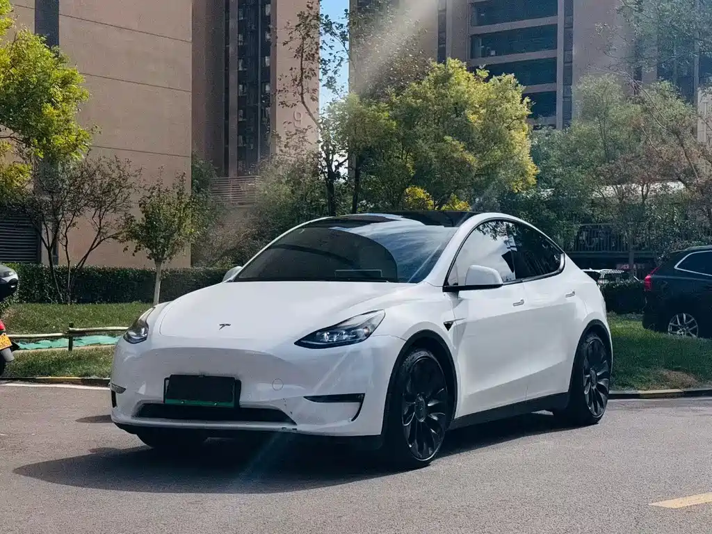 Tesla Model Y — миниатюра 3
